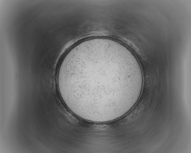 X0000111941168200908171251