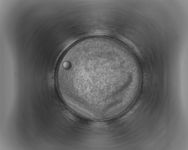 X0000111941170200908171251