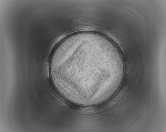 X0000111941171200908171251