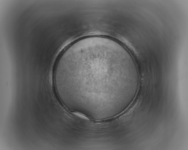 X0000111941173200908171251