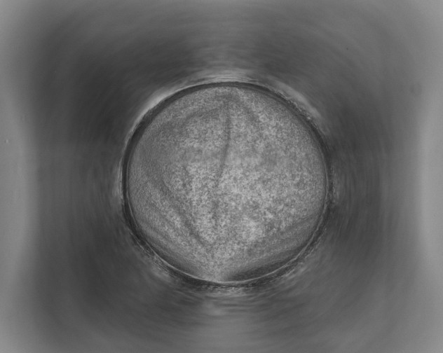 X0000111941174200908171251