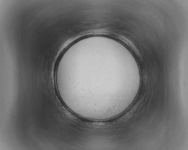 X0000111941176200908171251