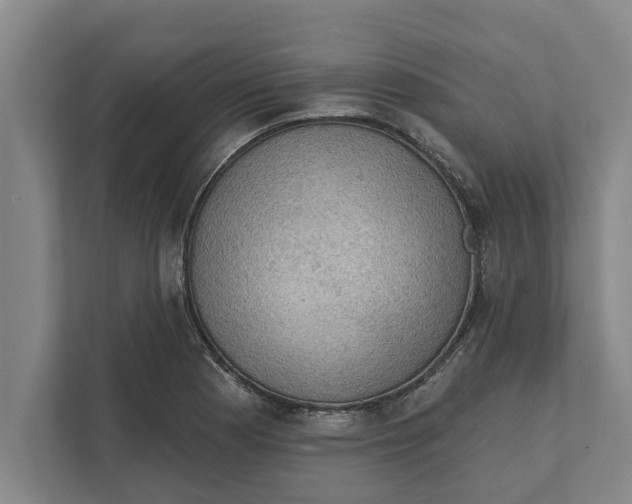 X0000111941177200908171251