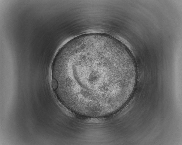 X0000111941179200908171251