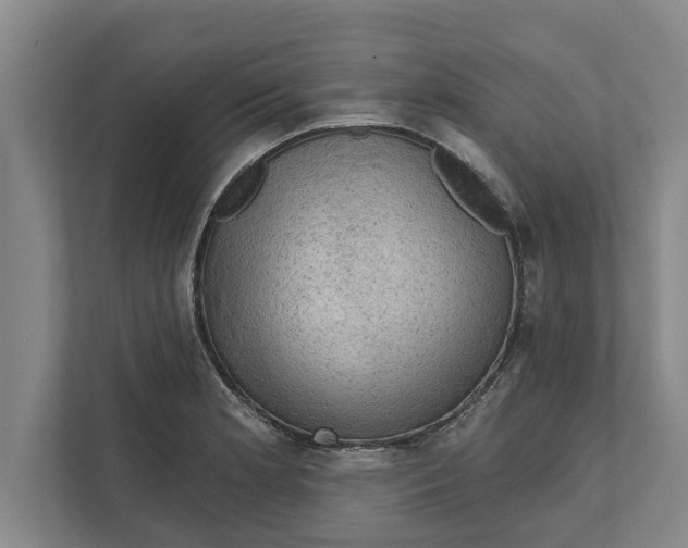 X0000111941181200908171251