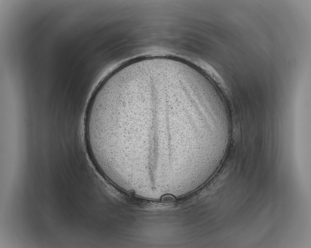 X0000111941183200908171251