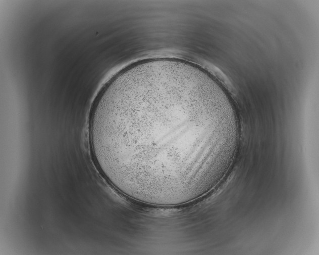 X0000111941184200908171251