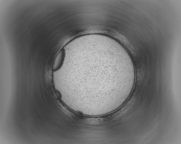 X0000111941185200908171251