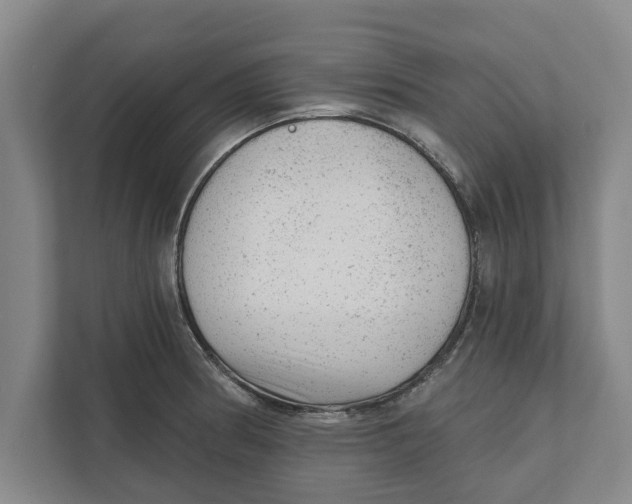 X0000111941186200908171251