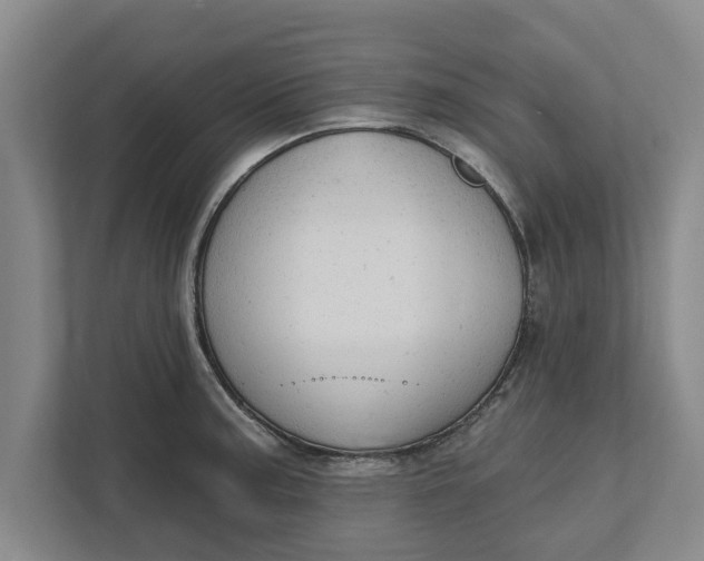 X0000111941187200908171251