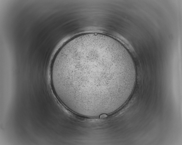 X0000111941188200908171251