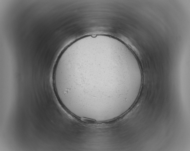 X0000111941189200908171251