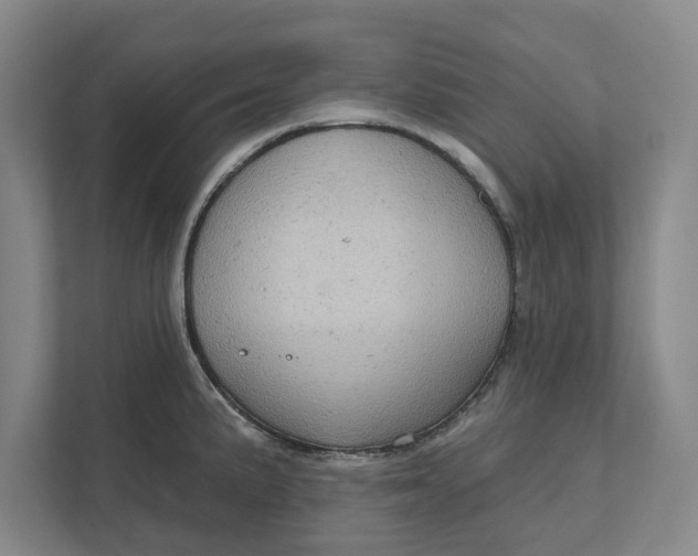 X0000111941191200908171251