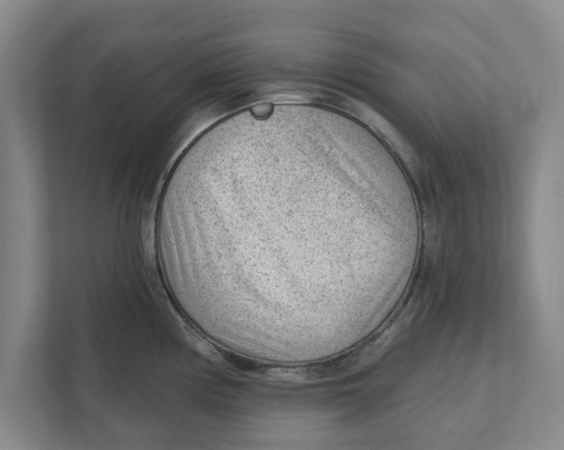 X0000111941194200908171251