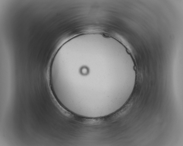 X0000111941195200908171251