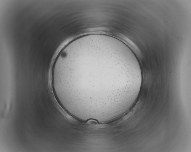 X0000111941196200908171250