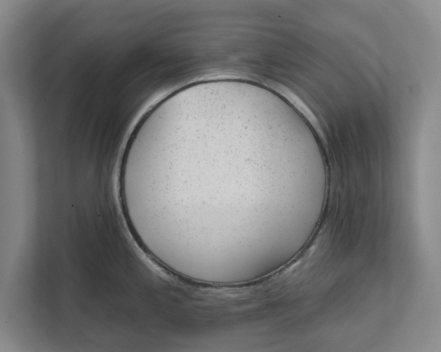 X0000111941197200908171250