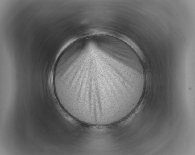 X0000111941198200908171250