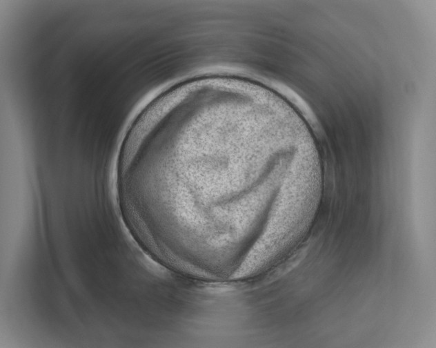 X0000111941199200908171250