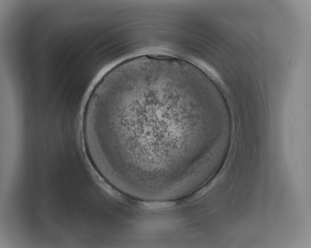 X0000111941200200908171250