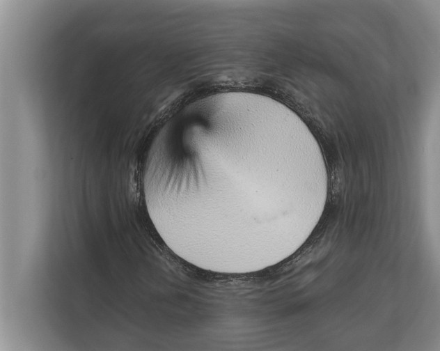 X0000111941202200908171250