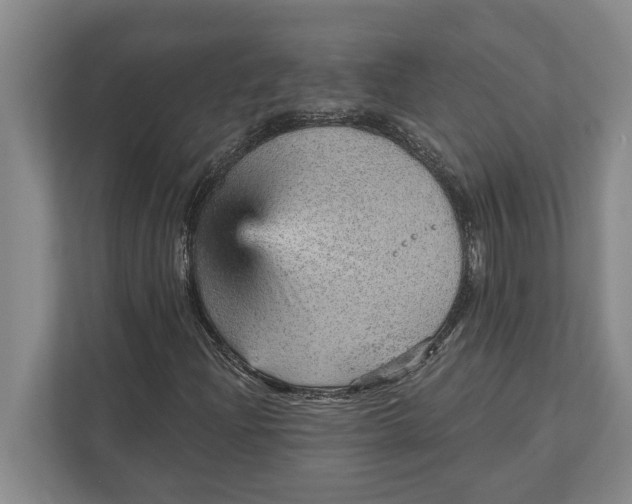 X0000111941204200908171250