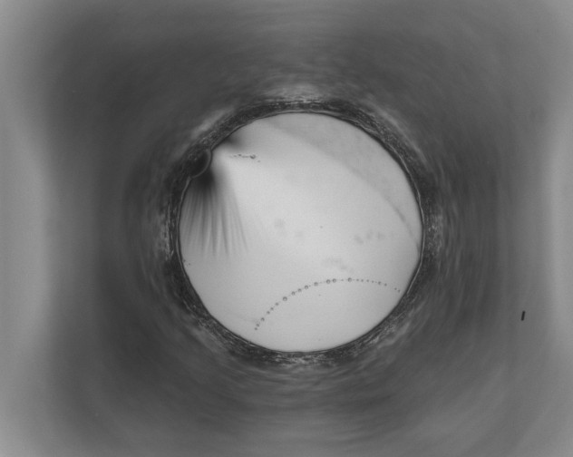 X0000111941205200908171250