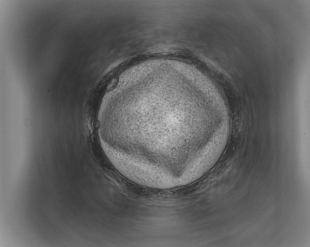 X0000111941206200908171250