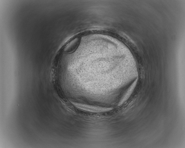 X0000111941208200908171250