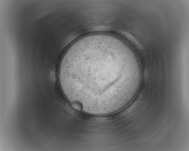 X0000111941209200908171250