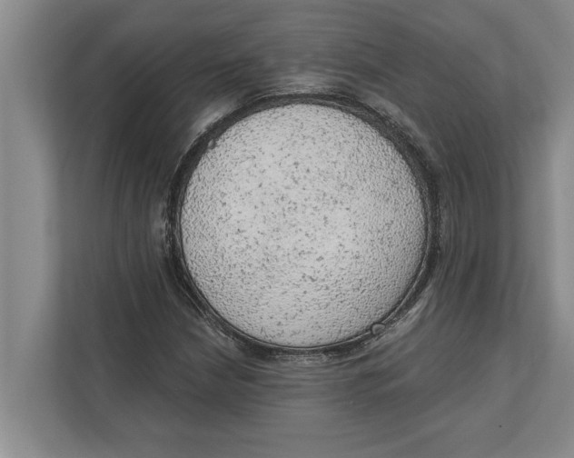 X0000111941210200908171250