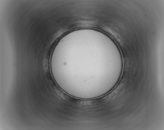 X0000111941211200908171250