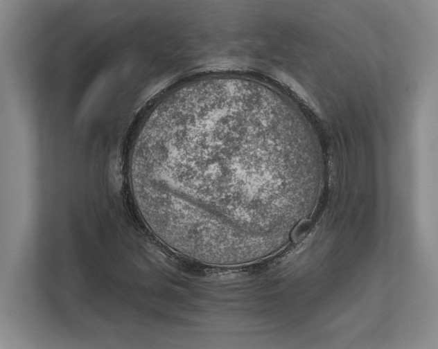 X0000111941213200908171250