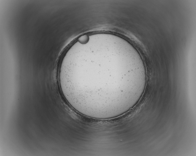 X0000111941216200908171250