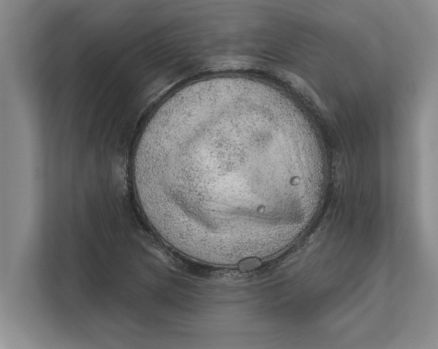 X0000111941217200908171250