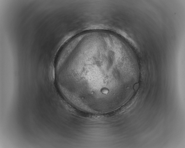 X0000111941221200908171250