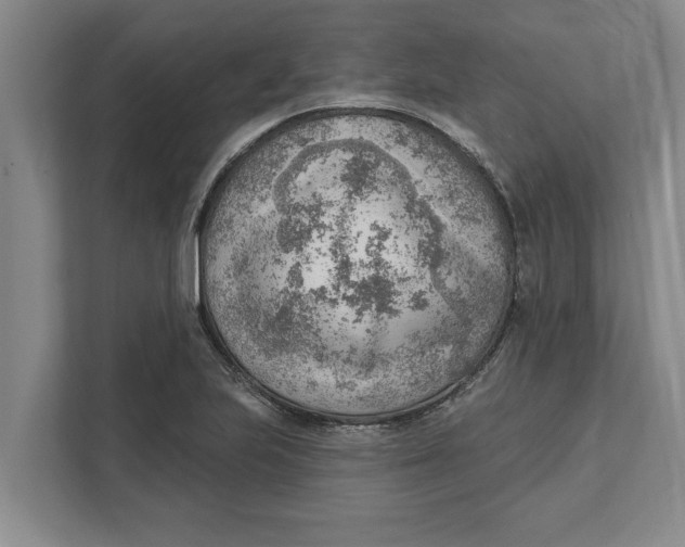 X0000111941223200908171250