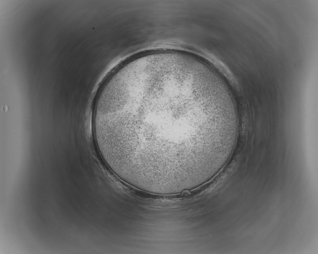 X0000111941224200908171250