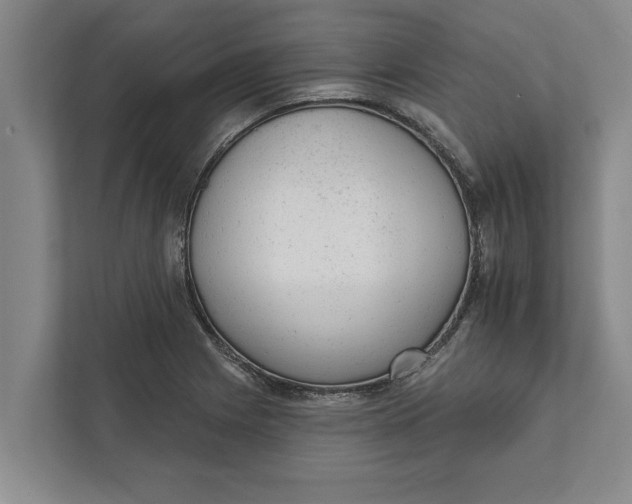 X0000111941225200908171250