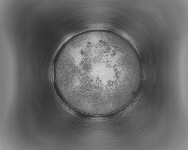 X0000111941227200908171250