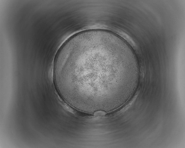 X0000111941228200908171250