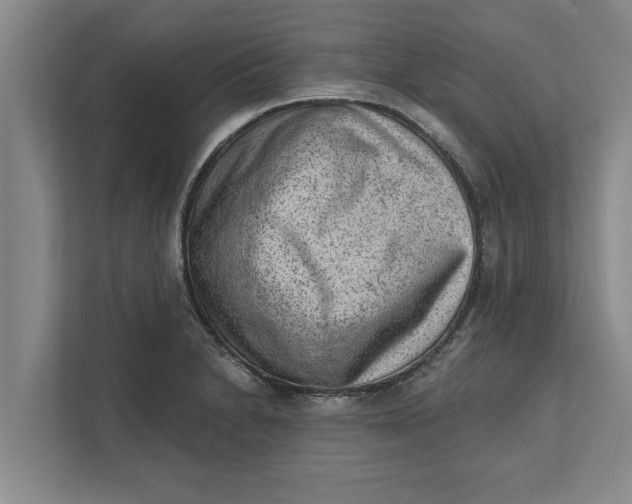 X0000111941230200908171250