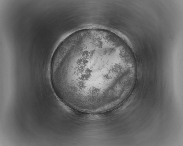 X0000111941231200908171250