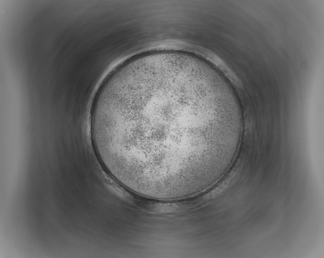 X0000111941232200908171250