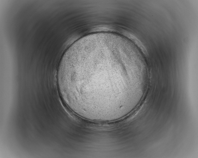 X0000111941233200908171250