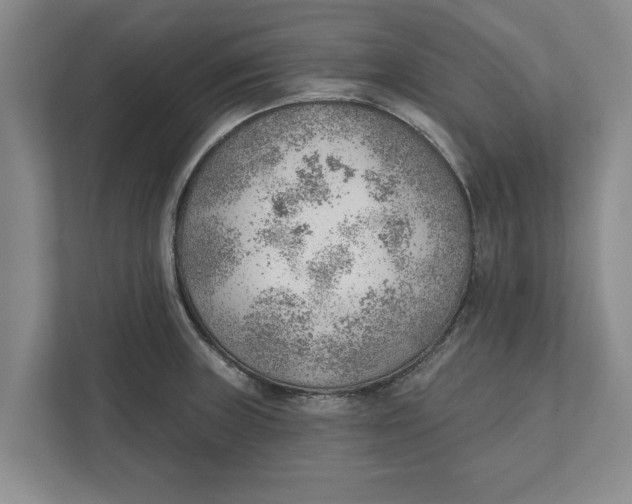 X0000111941235200908171250