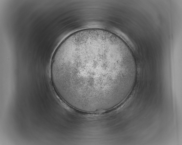 X0000111941236200908171250