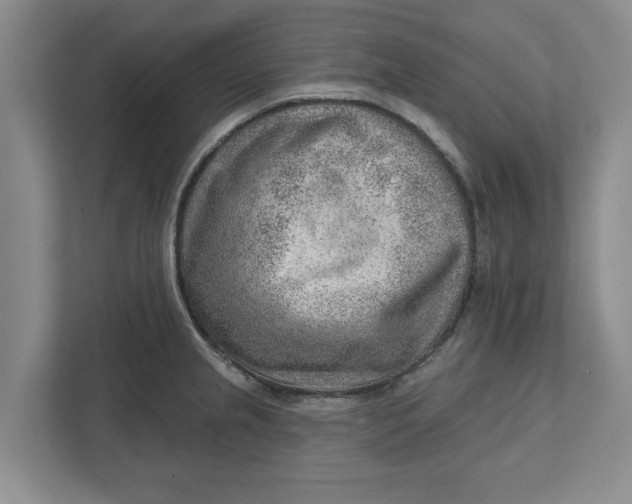 X0000111941237200908171250