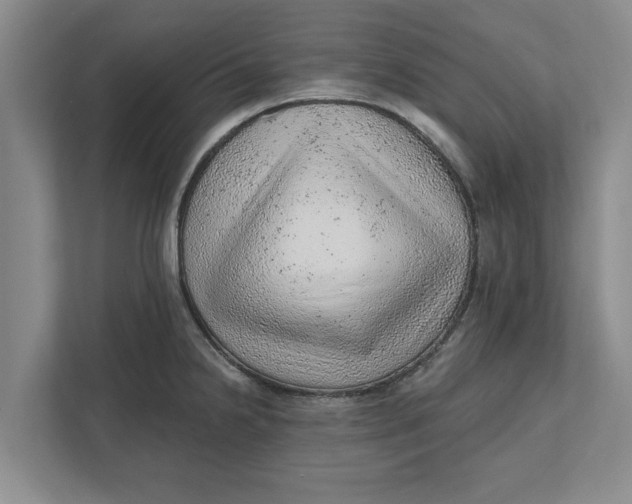 X0000111941238200908171250