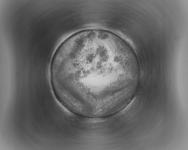 X0000111941239200908171250